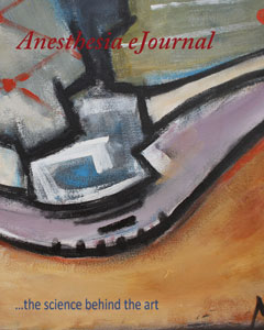 AEJ Cover 2013
